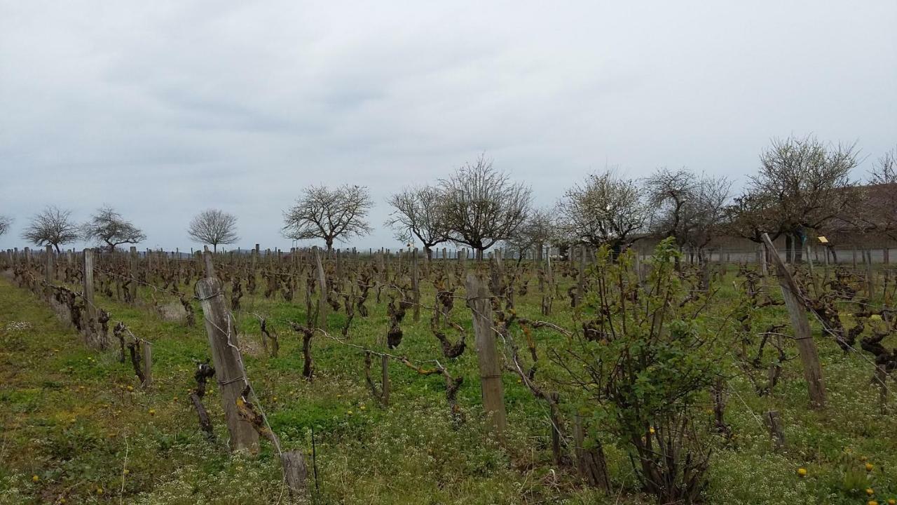 La Chagnelotte Apartment Farges-les-Chalon Bagian luar foto